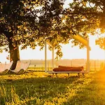 Tatil Evi Big Berry Kolpa - Mir Mobile House *