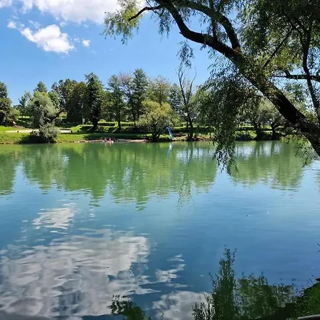 Big Berry Kolpa - Mir Mobile House Holiday home *