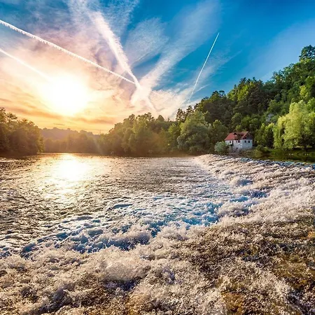 Big Berry Kolpa - Mir Mobile House *