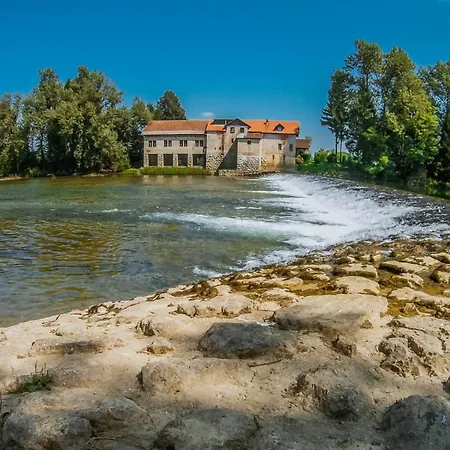 Big Berry Kolpa - Mir Mobile House