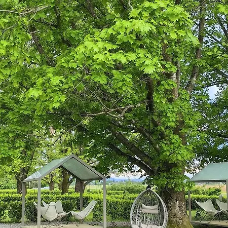Big Berry Kolpa - Mir Mobile House Semesterbostad *