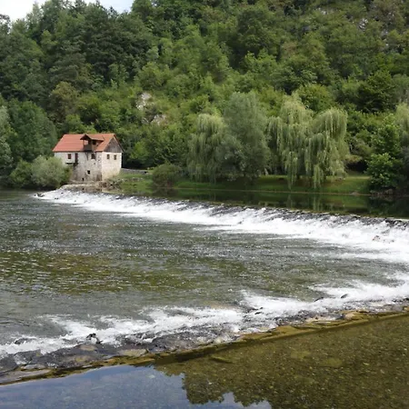 Big Berry Kolpa - Mir Mobile House *