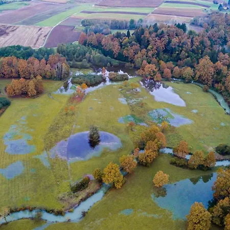 Big Berry Kolpa - Mir Mobile House *