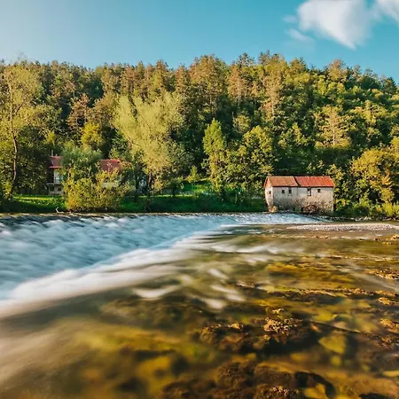 Big Berry Kolpa - Mir Mobile House Semesterbostad